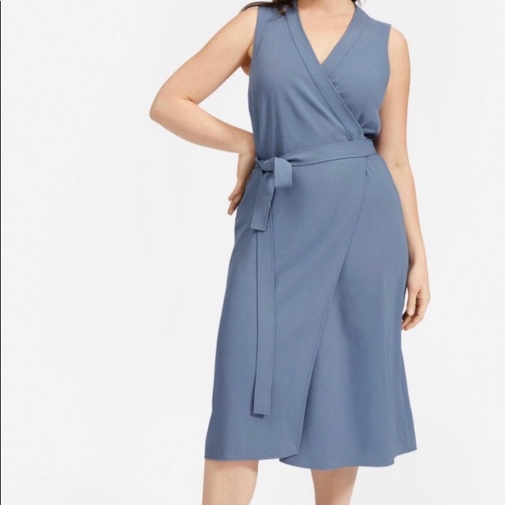 Everlane Japanese Goweave Sleeveless Wrap Dress